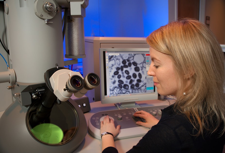 The Role of the Golgi Apparatus